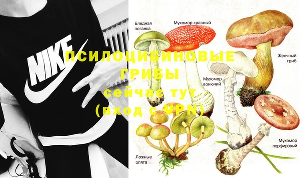 PSILOCYBIN Мегион