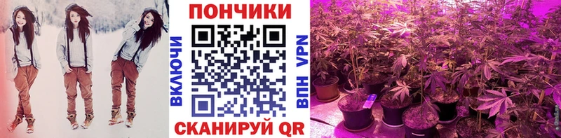 Бошки Шишки марихуана  Купить где  Тында 